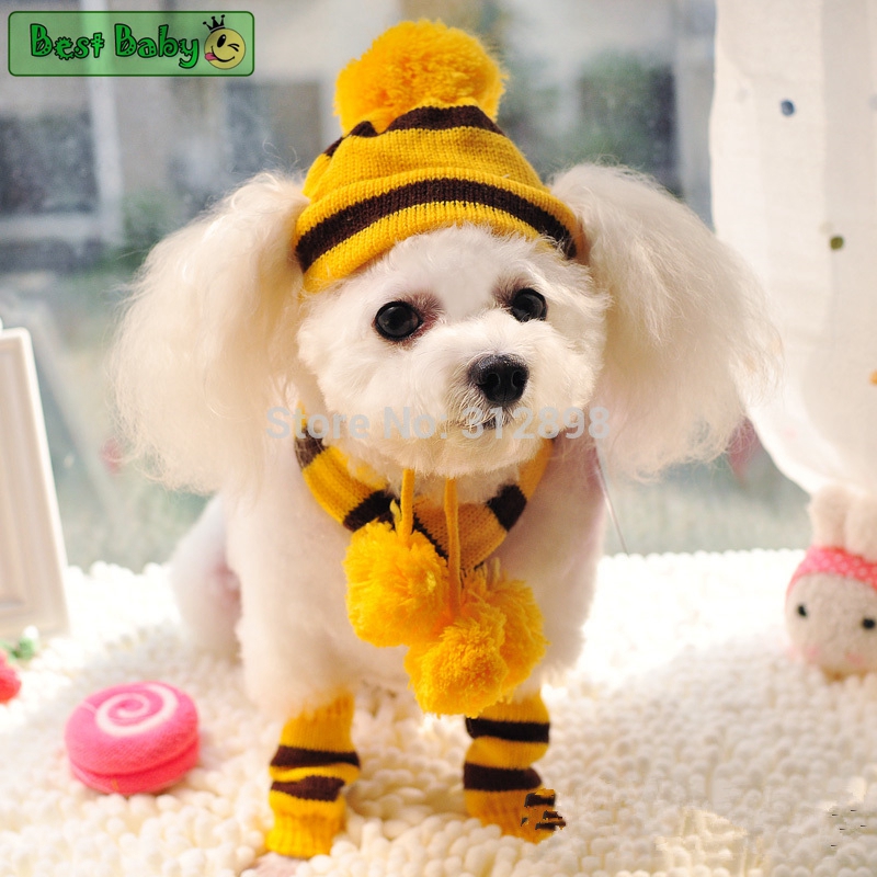 ฤดูหนาวสัตว์เลี้ยงลูกสุนัขอุปก - Baby Products Best บทวิจารณ์และราคา